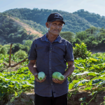 Support for 96 Families to Improve Their Agricultural Production
