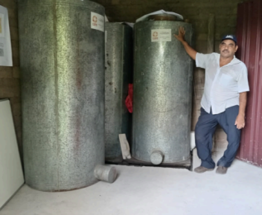 banco de grano boletin noviembre