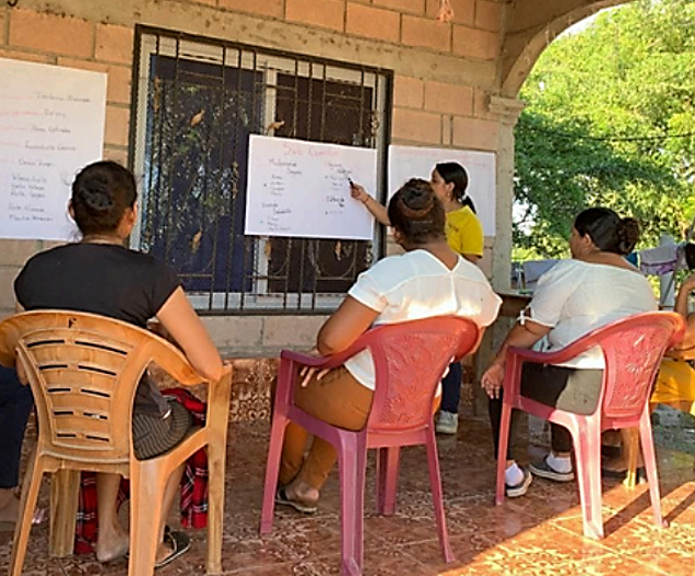comite de salud boletin enero
