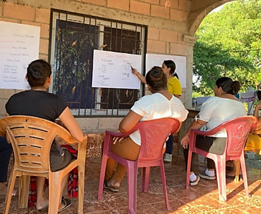 comite de salud boletin enero