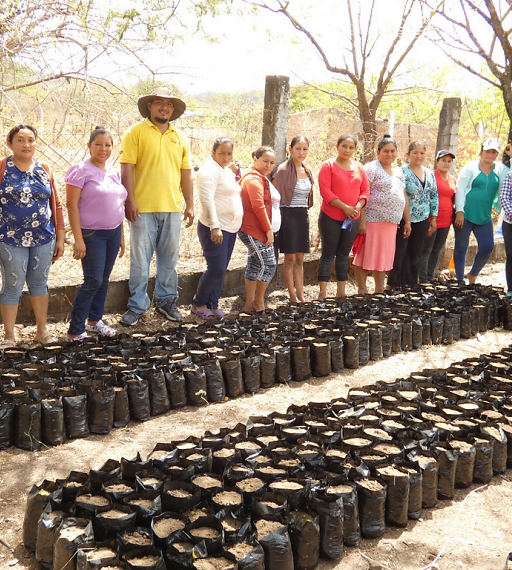viveros boletin feb