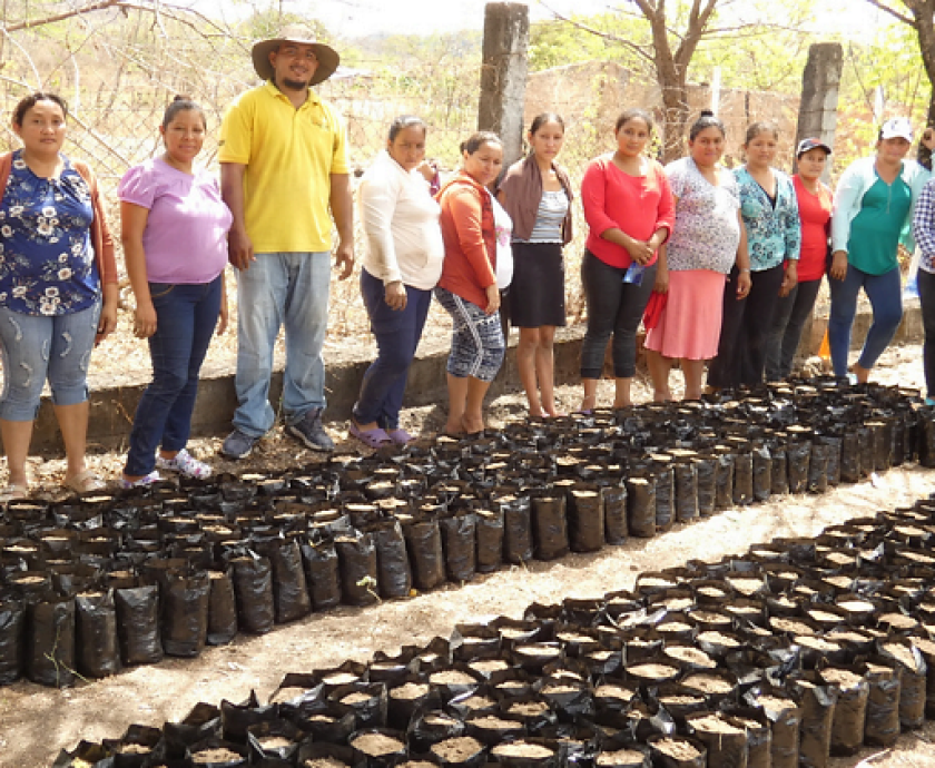 viveros boletin feb
