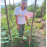 Fundación agrolíbano strengthens family gardens to promote food resilience