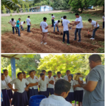 Fundación agrolíbano supports school gardens with sustainable practices