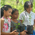 Fundación agrolíbano promotes community reforestation in southern honduras