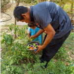 FUNDACIÓN AGROLÍBANO PROMOTES FAMILY GARDENS TO STRENGTHEN FOOD SECURITY