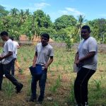 FUNDACIÓN AGROLÍBANO IMPULSA EL APRENDIZAJE ATRAVÉS DE HUERTOS ESCOLARES