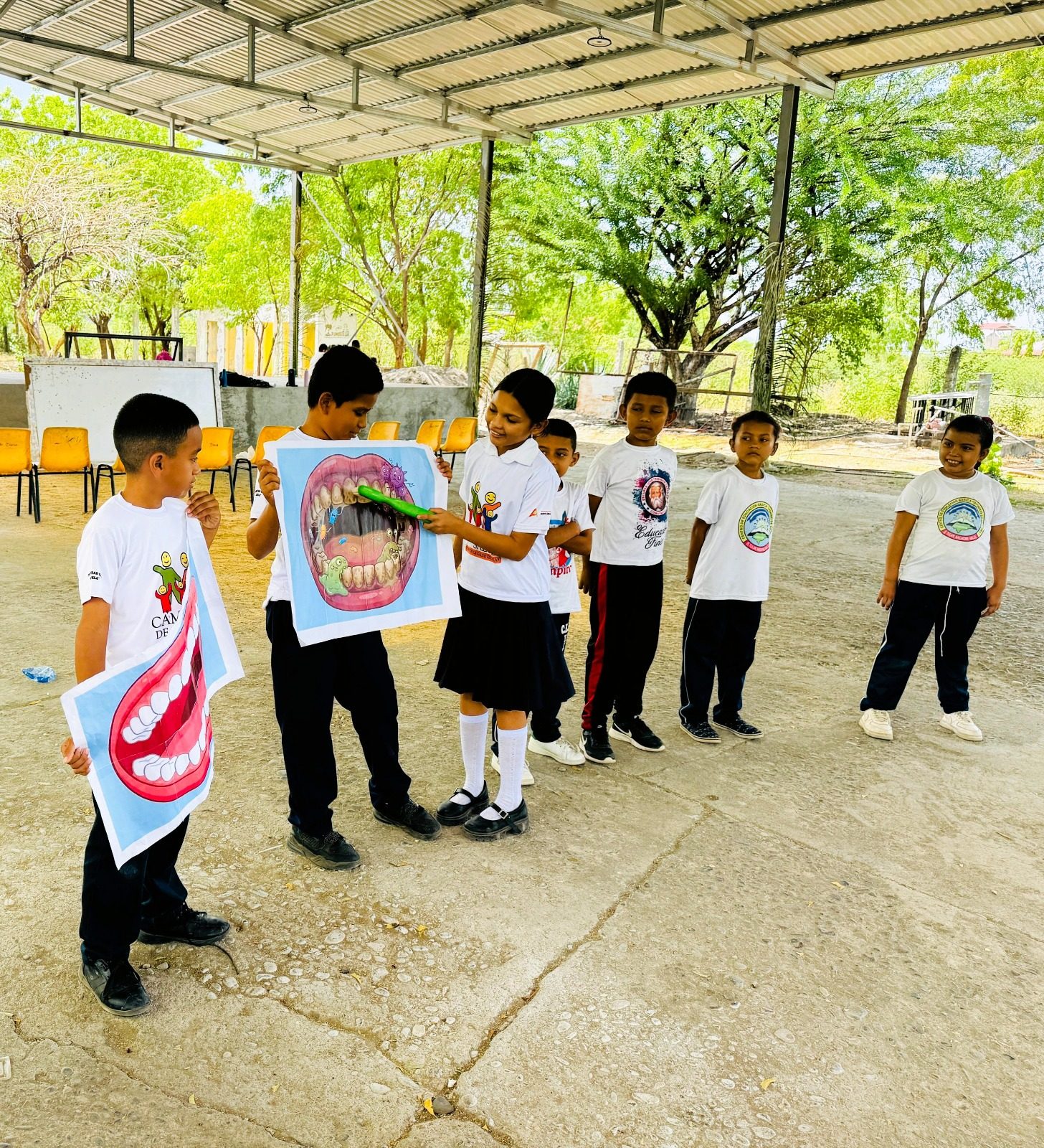 Facilitadores